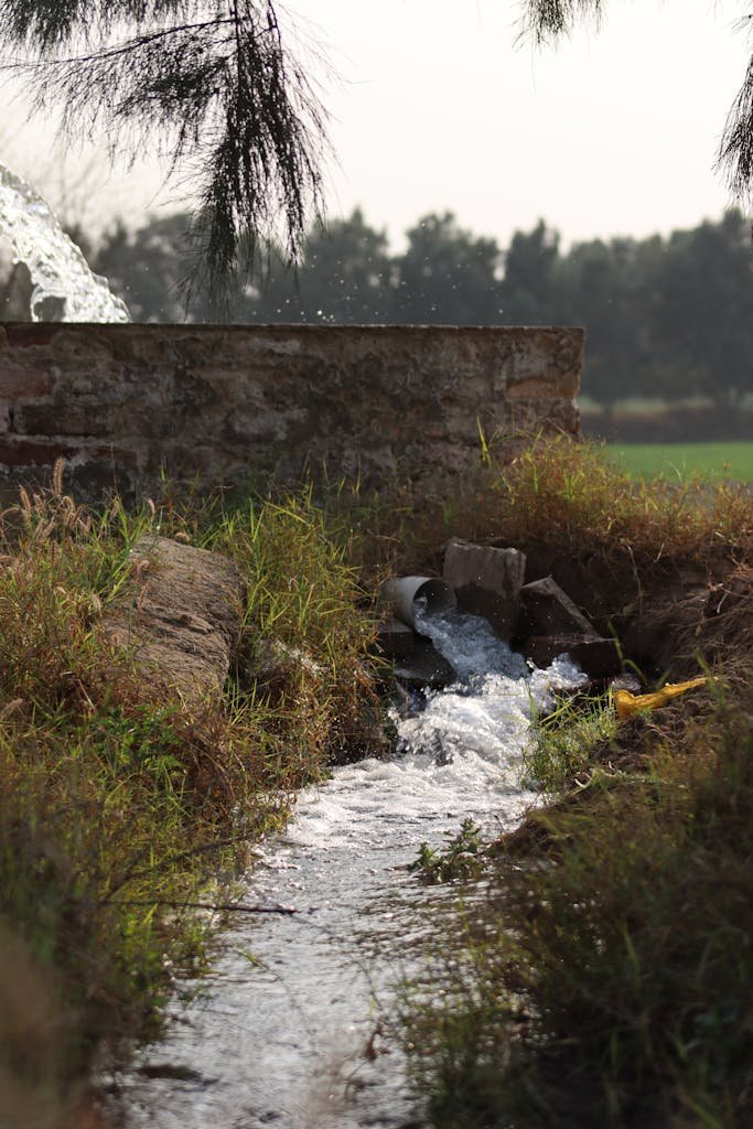 Water flowing from a pipe in a lush agricultural field, symbolizing irrigation.